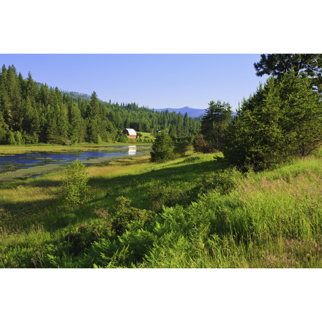 Idaho Lake von Dszc - Kunstdrucke auf Leinwand ohne Rahmen