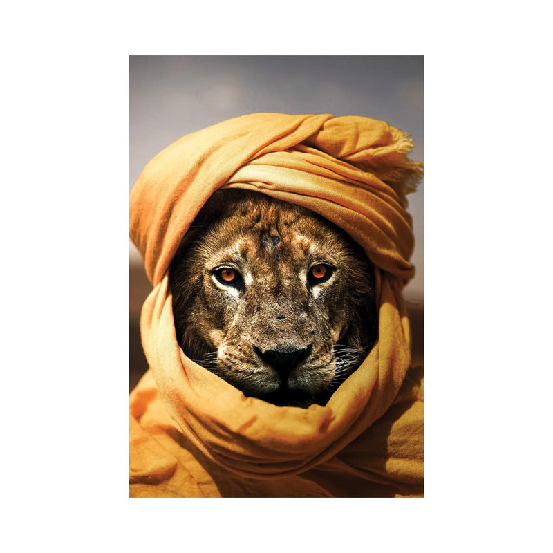 Lion II by Milos Karanovic - Wrapped Canvas Painting, 20.32 cm H x 30.48 cm W
