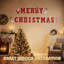 Ensemble de 19 panneaux de courrier en plastique Merry Christmas