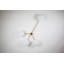 Stella 4 - Light Chandelier