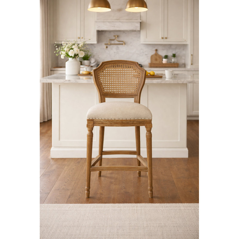 Aniyah 27.5" Counter Height Stool