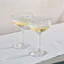 Puro Cocktail Coupe