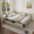 Upholstered Daybed With Backrest, Reversible Armrests, And Storage Drawers-1350107099-1349014263