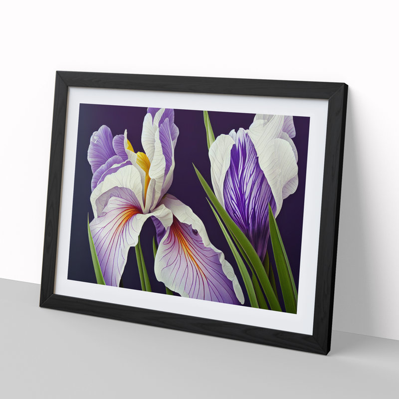 Stunning Iris Flowers 1 Piece Single Picture Frame Wall Art, 25cm H x 34cm W x 2cm D, Black