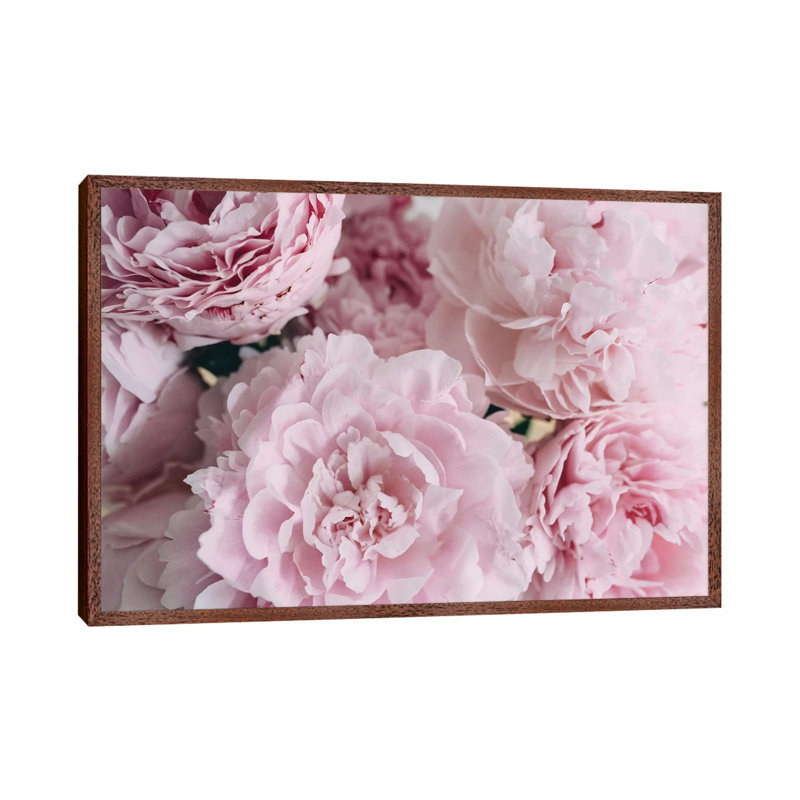 Peonies Top by Chelsea Victoria - Print, 101.6 cm H x 66.04 cm W, Brown Framed