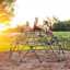 Lifetime Climbing Dome-48890182-48890183