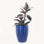 Pot de fleurs en céramique bleu saphir fait main, de 43 cm de diamètre, à motif ondulé horizontal