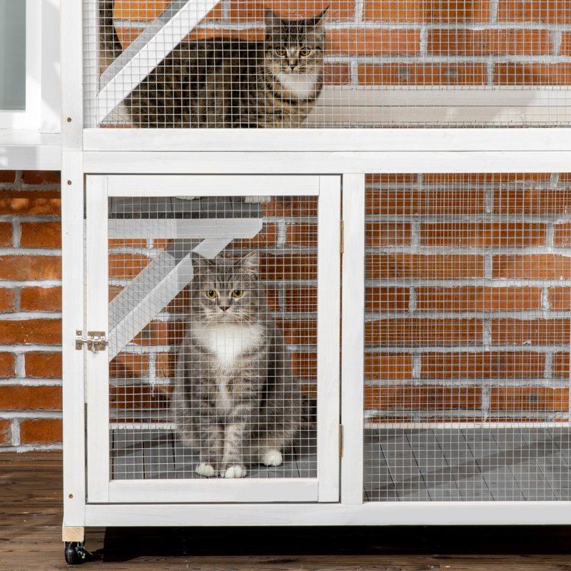 74 po en bois gris avec roulettes, 74 po, grande capacité pour chats courageux