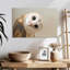 Brampt Curious Bird-107720543