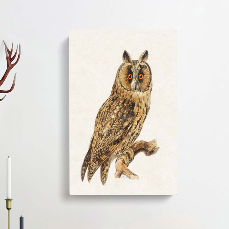 Long-Eared Owl by Von Wright - Wrapped Canvas, 50cm H x 35cm W x 3cm D