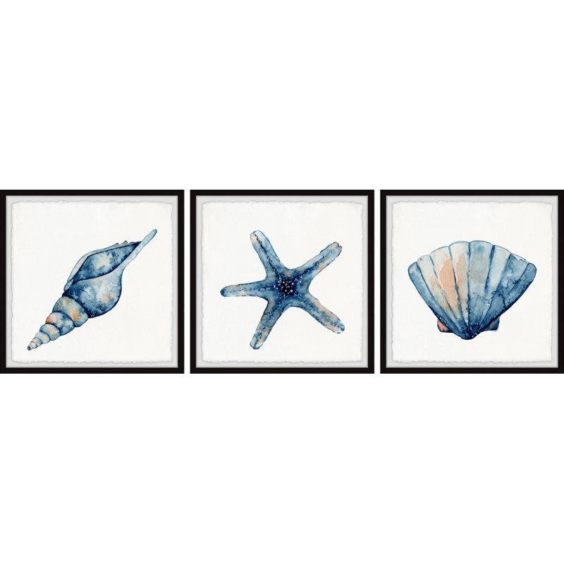 Étoile de mer et coquillages triptyque