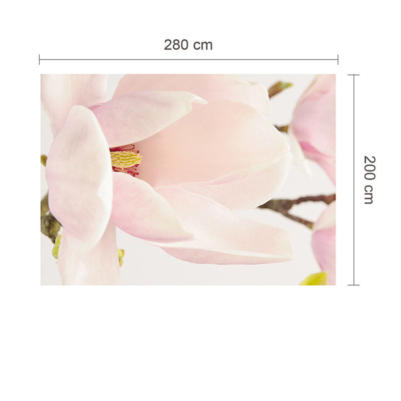 Majestic Magnolia Wall Mural