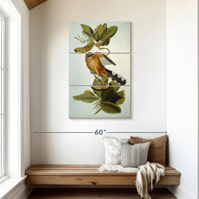 Brampt Mangrove Cuckoo, 45" H x 28" W