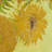 " Sunflowers " by Vincent Van Gogh