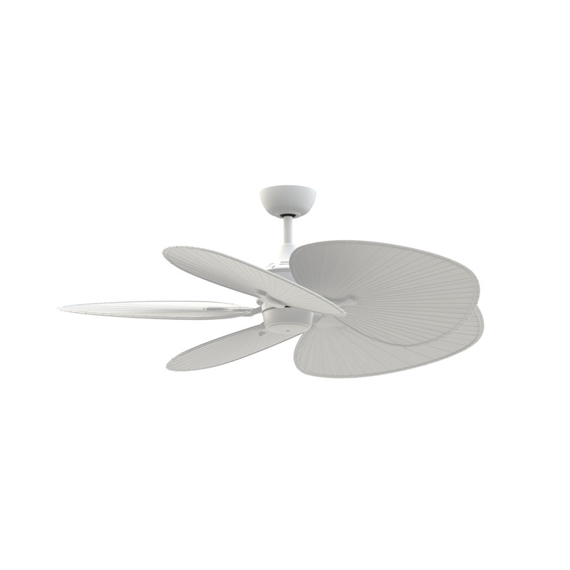 Islander DC 52 inch Indoor/Outdoor Ceiling Fan - Matte White with Matte White Wide Oval Palm-Inspired Blades, Matte White
