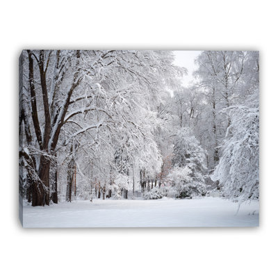 Snowy Forest Clearing Wrapped Canvas Wall Art