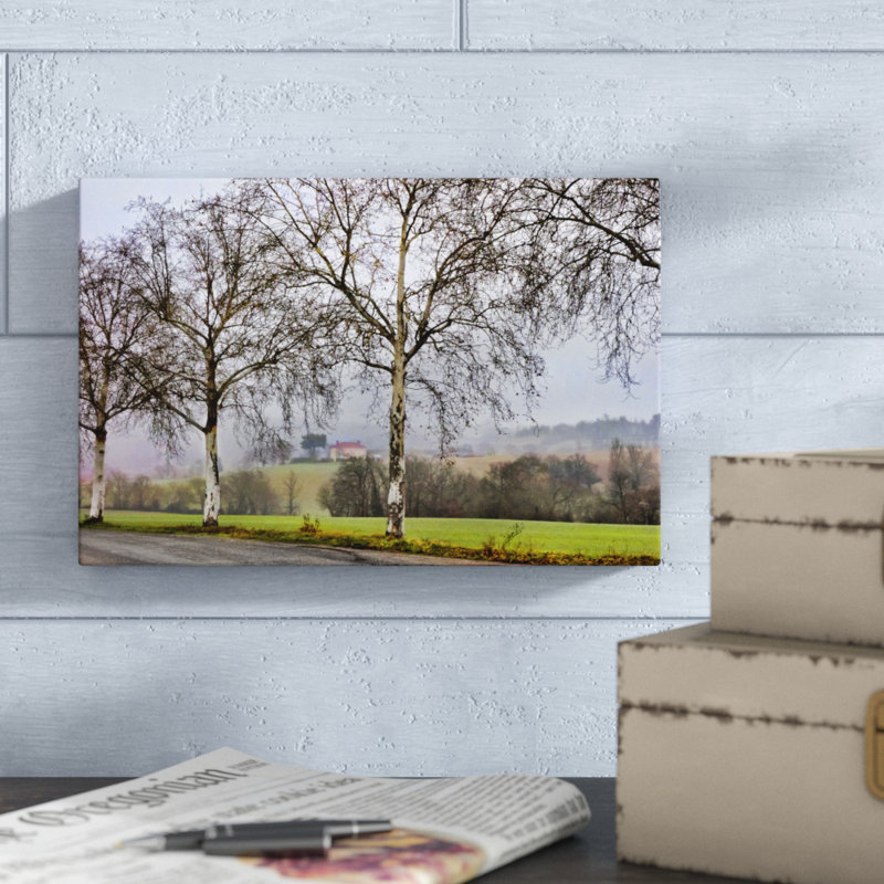 «Pastoral Countryside XI», photographie sur toile, H 8 po x l 12 po