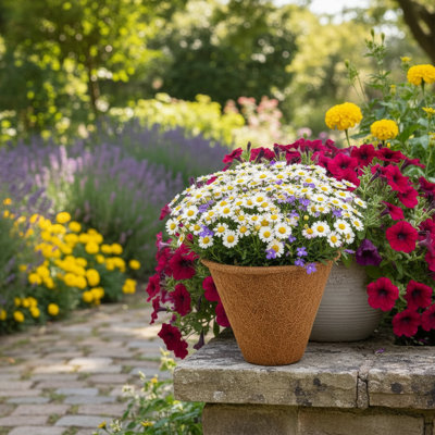 Grande jardinière Coco, 10 po