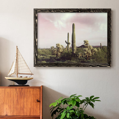 " Organ Pipe Cactus National Monument "