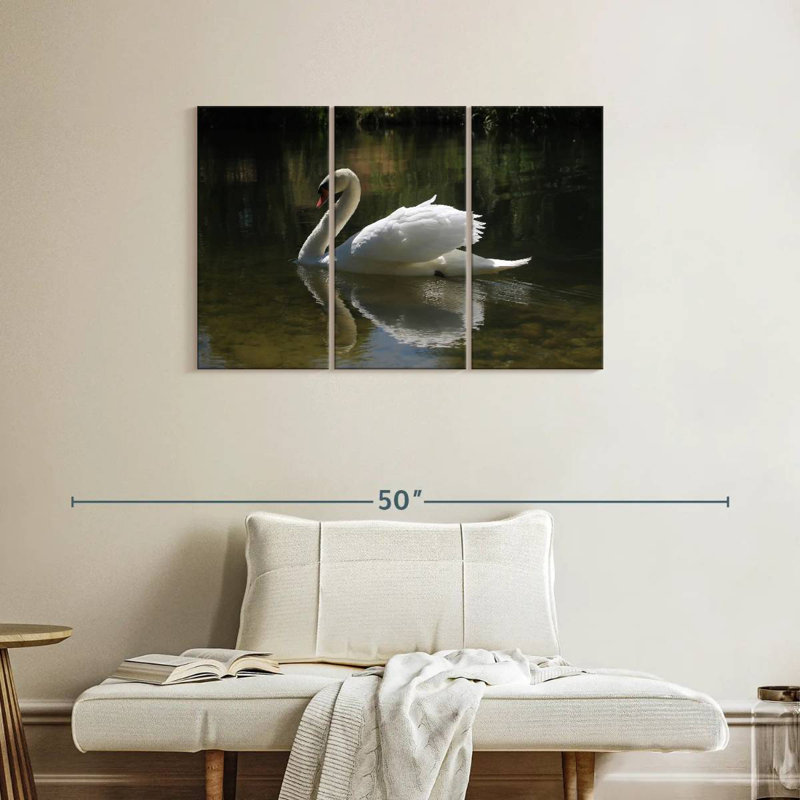 Swan Lake Reflection, 24" H x 38" W