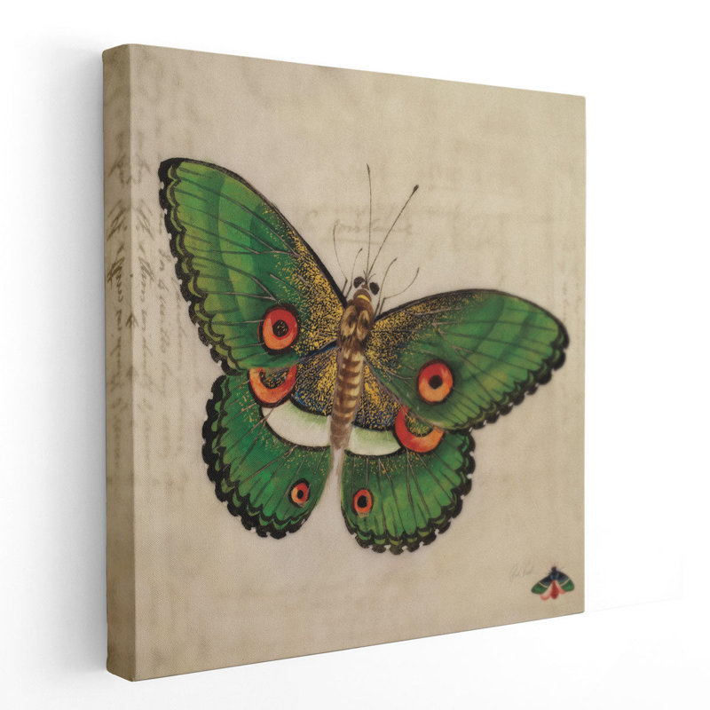 «Vintage Green Butterfly», reproduction d'art sur toile, H 12 po x l 12 po
