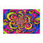 Tapis intérieur et extérieur Kaleidoscope Burst-1995993738