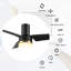 Ventilateur de plafond intelligent avec lumière Elauna