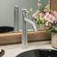 Robinet de lavabo vasque avec bonde St. Lucia-86704142