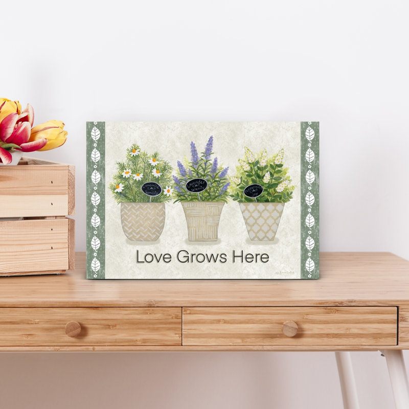 Love Grows Here 1 Piece Wrapped Canvas Wall Art, 30.48cm H x 45.72cm W
