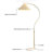 Tesfa 63'' Arched Floor Lamp