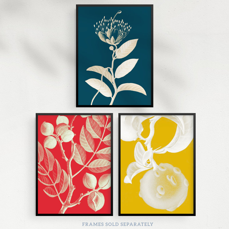 Bold Bright Botanicals Plant Tree Branch Bloom Blue Red Yellow - 3 Piece No Frame Print Set, 29.7cm H x 21cm W x 0.4cm D