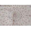 Tapis traditionnel bleu en soie 6 x 9