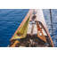 Anniina Classic Hammock-1712631878-1712631881