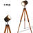 Celyne 55" Tripod Floor Lamp