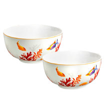 https://assets.wfcdn.com/im/62807021/resize-h210-w210%5Ecompr-r85/2395/239541042/Highland+Dunes+Coral+Reef+Cereal+Bowl+Bone+China+Set+Of+2.jpg