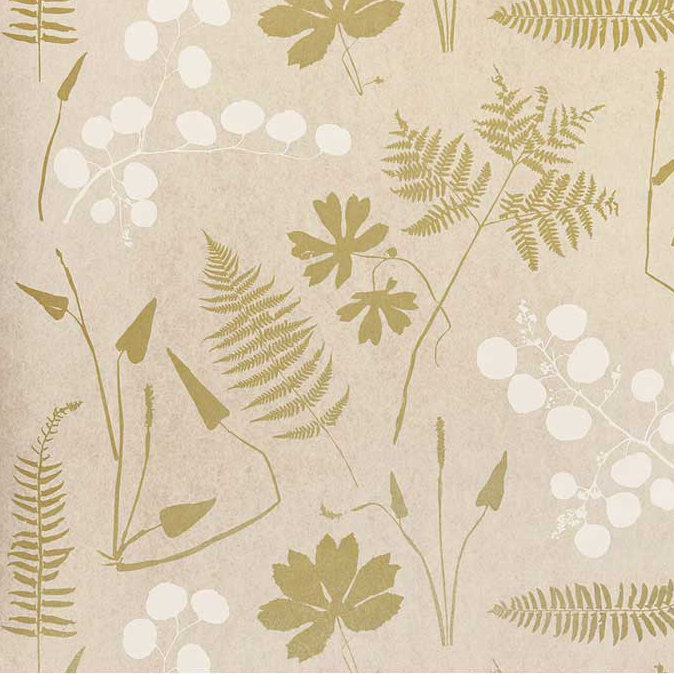 Papier peint botanique moderne, Parchemin