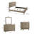 Dezerey Piece Bedroom Set-1864240345
