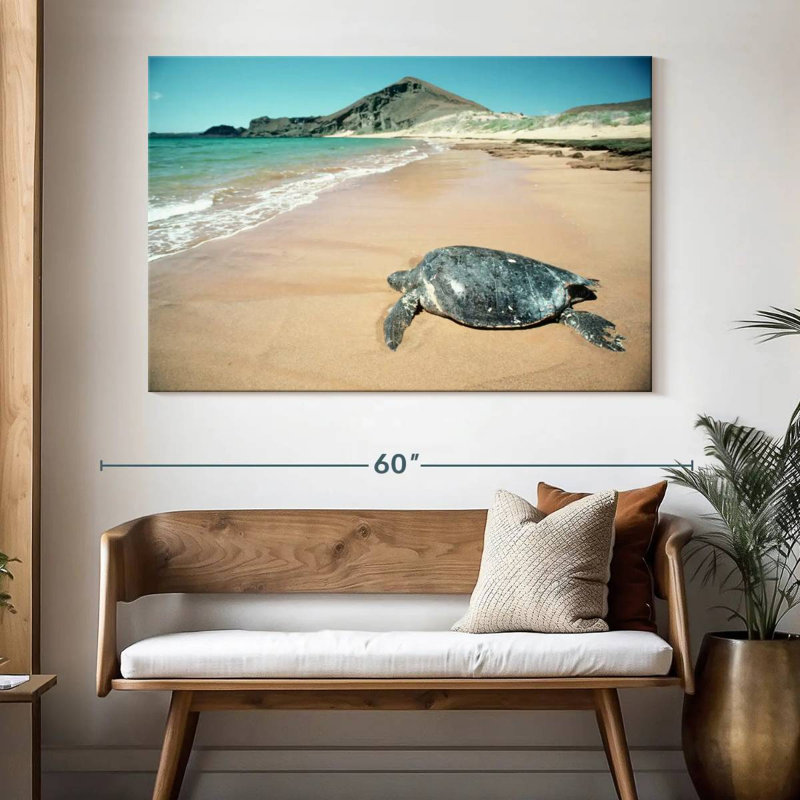 Brampt Galapagos Loggerhead Turtle, 34" H x 51" W