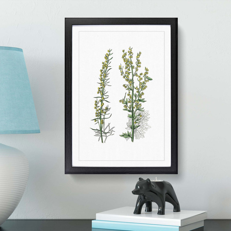 Mugwort Flowers Illustration - Picture Frame Painting Print, 36cm H x 27cm W x 2cm D, Black Framed
