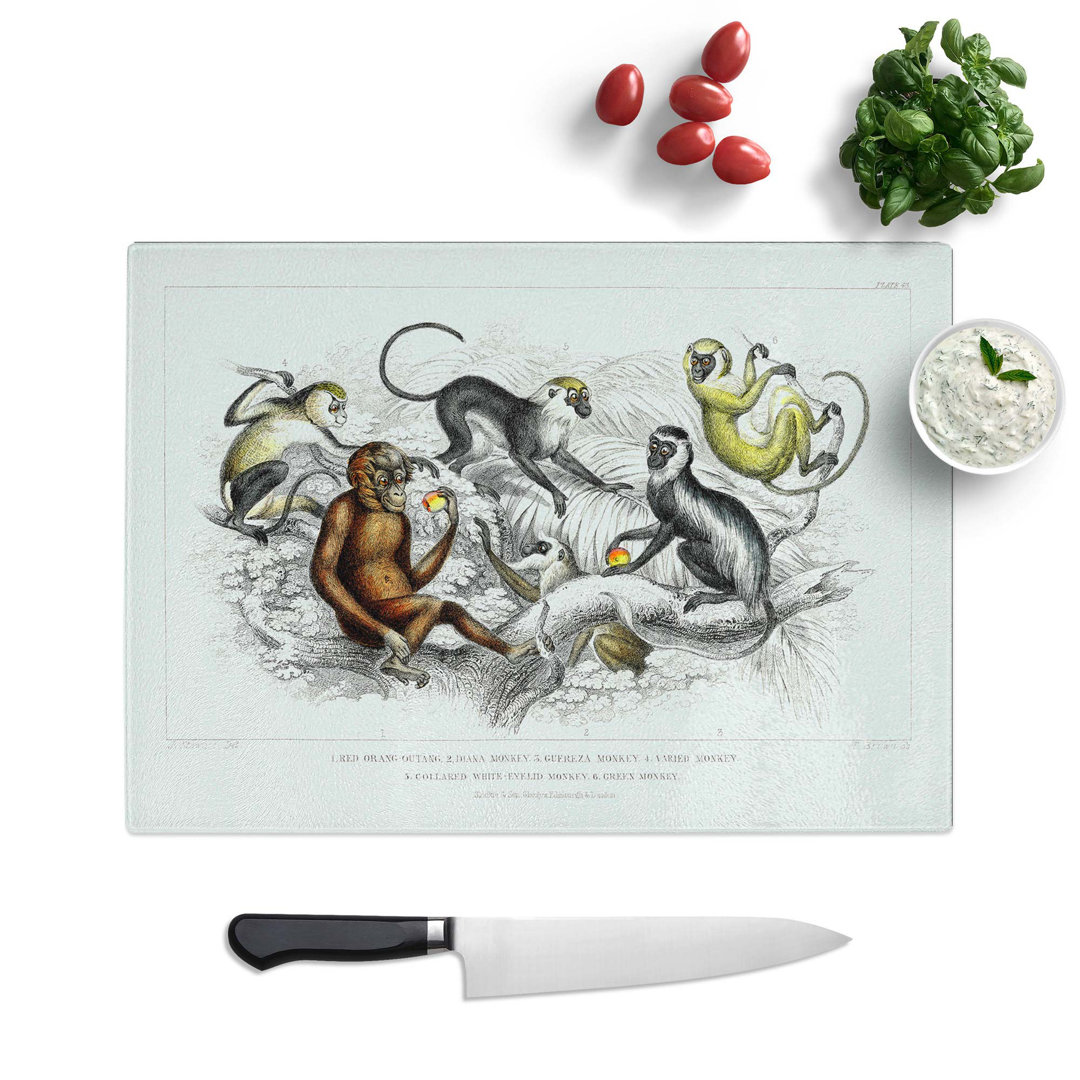 Tempered Glass Orangutan & Monkeys by Oliver Goldsmith Chopping Board