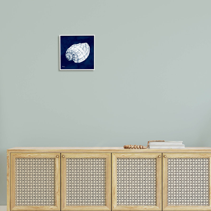 Illustration côtière des coquilles de cyanorphe par Paul Brent - peinture sur bois, H 12 po x l 12 po x P 1,5 po
