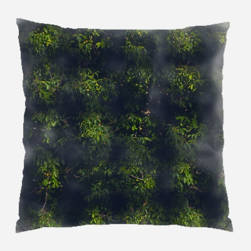 Coussin décoratif, Intérieur