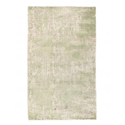 Neidelyn Oriental Area Rug in Green
