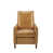 Tan is out of stock selected
