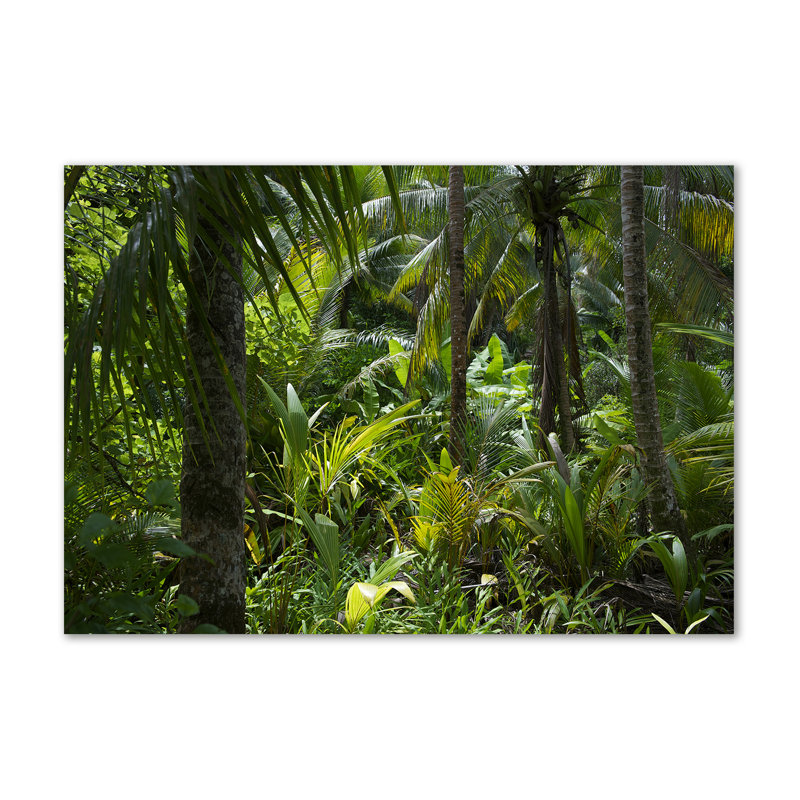 Tropical Forest - Wrapped Canvas Print
