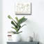 «Bottles and Flowers II» par Cindy Jacobs, art mural en verre acrylique-1098645954