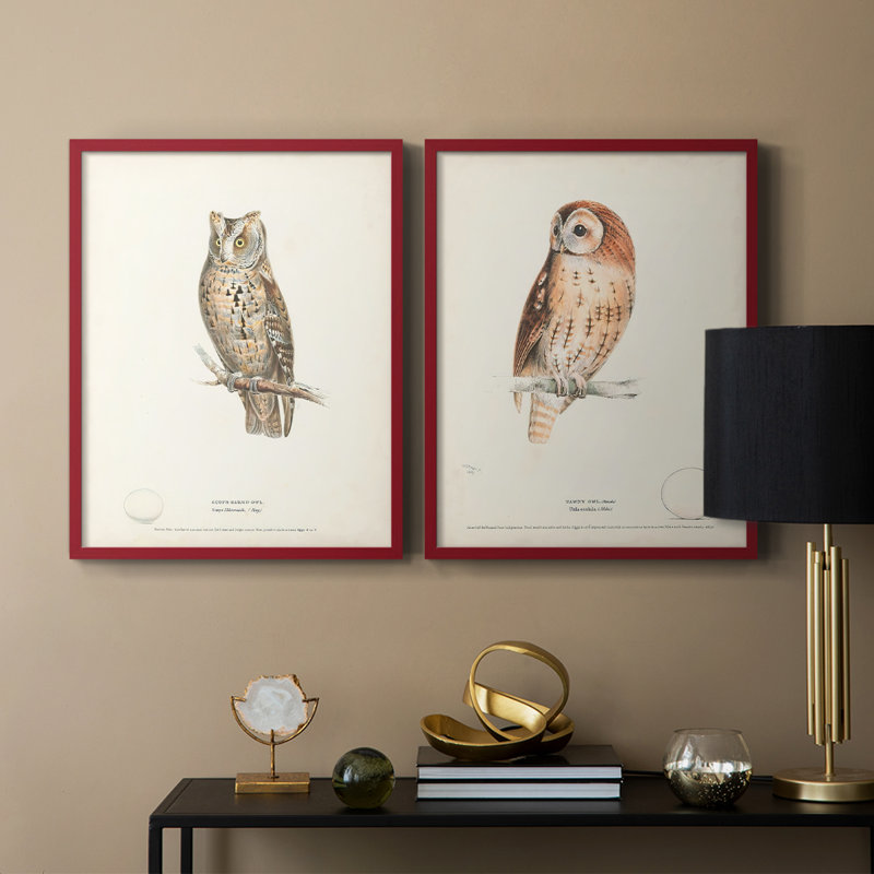 Scops Eared Owl - reproduction encadrée de qualité supérieure - prête à être accrochée - aucun clou requis - aucun clou requis