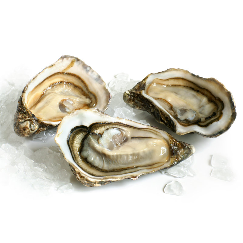 Raw Oysters With Ice - Wrapped Canvas Print, 30cm H x 46cm W x 3.8cm D