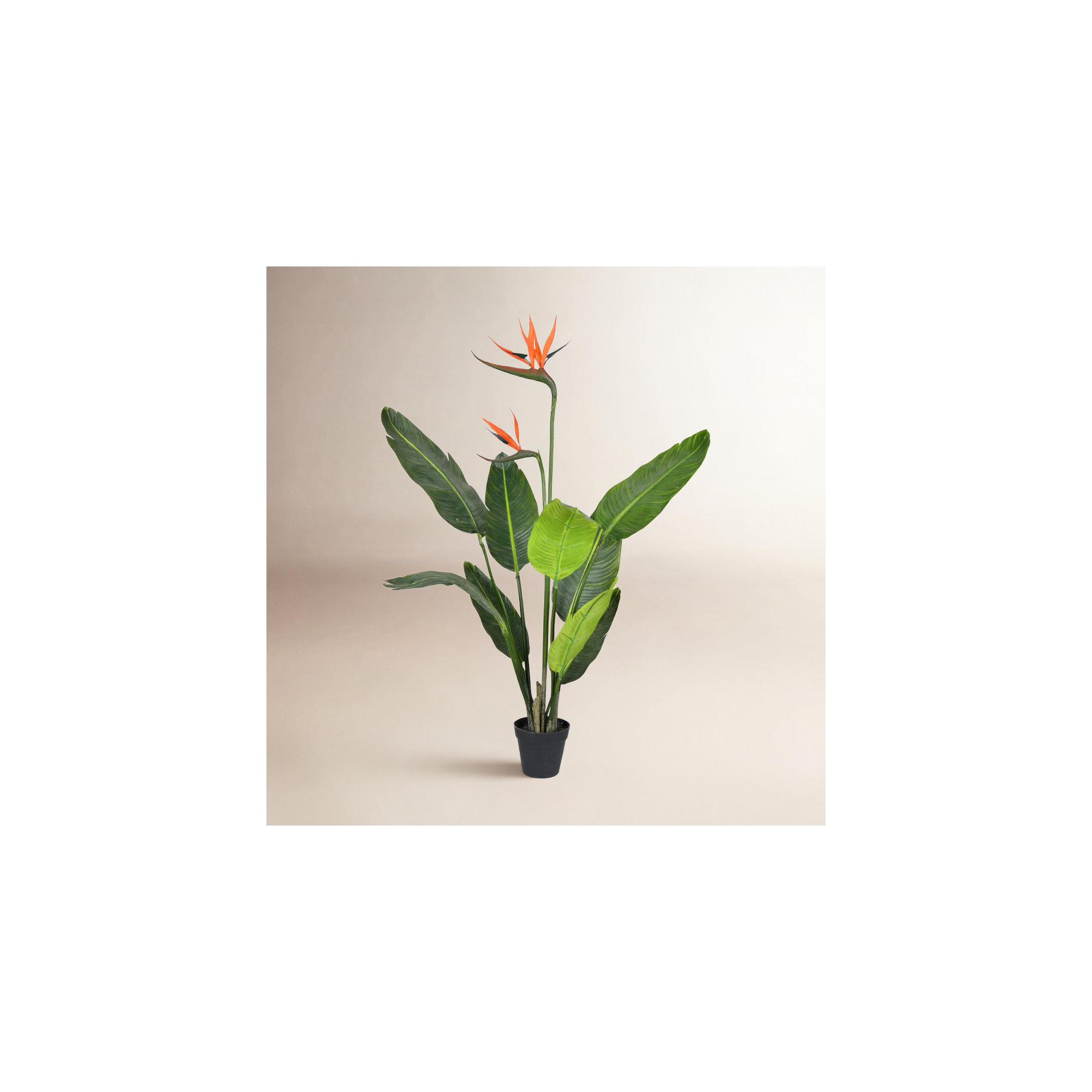 Faux Plant in Pot, 36" H x 14" W x 14" D