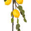 Guirlande artificielle citron
